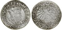 Polska, grosz, 1534