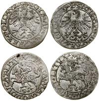 Polska, zestaw 2 x półgrosz, 1564, 1565