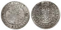 Prusy Książęce 1525-1657, ort, 1623