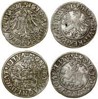 Polska, zestaw: 2 x półgrosz, 1546, 1547