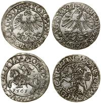 Polska, zestaw: 2 x półgrosz, 1561, 1562