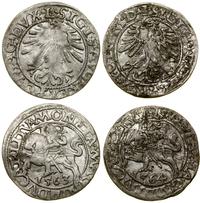 Polska, zestaw: 2 x półgrosz, 1563, 1564