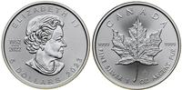 5 dolarów = 1 uncja 2023, Ottawa, Liść klonu, sr