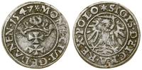 Polska, szeląg, 1547
