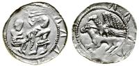 Polska, denar, (1138–1146)