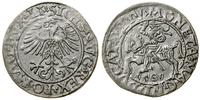 Polska, półgrosz, 1561