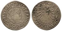 grosz 1535, Toruń, ładnie, centrycznie wybity