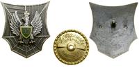 Polska, 10 Batalion Radiotechniczny – odznaka pamiątkowa
