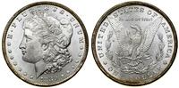 Stany Zjednoczone Ameryki (USA), 1 dolar, 1880