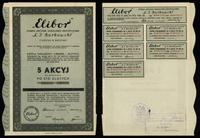 5 akcji po 100 złotych = 500 złotych 1934, Warsz