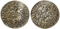 Polska, półgrosz, 1547
