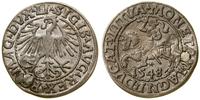 Polska, półgrosz, 1548