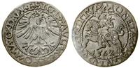 Polska, półgrosz, 1562
