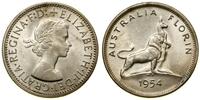 Australia, 1 floren, 1954