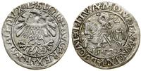 Polska, półgrosz, 1559