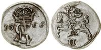 Polska, dwudenar, 1566