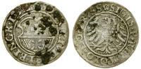 Polska, szeląg, 1532