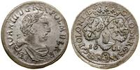 Polska, szóstak, 1681 TLB
