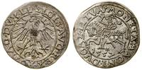 Polska, 100, 1557
