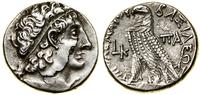 Grecja i posthellenistyczne, tetradrachma, rok 20 (95–94 pne)