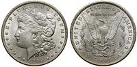 Stany Zjednoczone Ameryki (USA), 1 dolar, 1900
