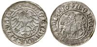 Polska, półgrosz, 1510