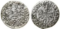 Polska, półgrosz, 1556