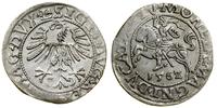 Polska, półgrosz, 1562