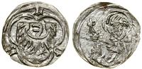 Śląsk, halerz, (po 1423–1428, 1429–1436)