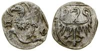 Śląsk, halerz, (przed 1431 (?) i ok. 1432–1449)