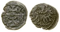 Polska, denar, 1555