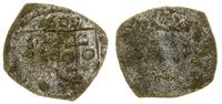 Polska, denar jednostronny, 1609