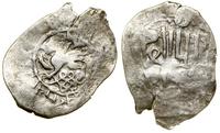 Wielkie Księstwo Niżno-Nowogrodzkie i Suzdalskie, dienga, 1392–1395