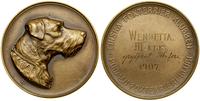 Finlandia, medal Fińskiego Klubu Fox Terriera, 1907