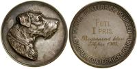 Finlandia, medal Fińskiego Klubu Fox Terriera, 1908