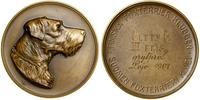 Finlandia, medal Fińskiego Klubu Fox Terriera, 1907