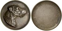 Finlandia, medal Fińskiego Klubu Fox Terriera, przed 1917 rokiem