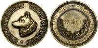 Finlandia, Medal Fińskiego Związku Kynologicznego z wystawy psów, 1905