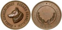 Finlandia, Medal Fińskiego Związku Kynologicznego z wystawy psów, 1905
