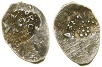 Wielkie Księstwo Moskiewskie, dienga, 1462–1505
