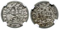 Inflanty, szeląg, 1572
