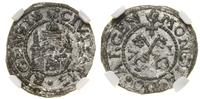 Ryga- miasto, szeląg, 1571