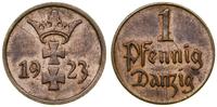 Polska, 1 fenig, 1923