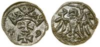 Polska, denar, 1549