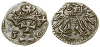 Polska, denar, 1550
