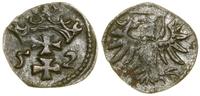 Polska, denar, 1552