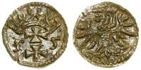 Polska, denar, 1555