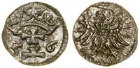 Polska, denar, 1556
