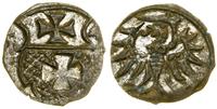 Polska, denar, 1554