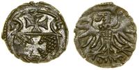 Polska, denar, 1555